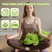 MeWaii® Dinosaur Weighted Stuffed Animal with Microwavable Heating Pad