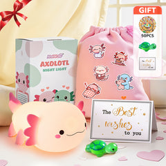 Capybara Gift Set