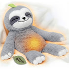 Sitting Sloth